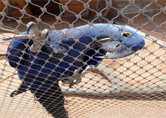 Customizable AISI 316 304 Stainless Steel Aviary Mesh For Bird Habitats