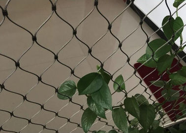 Stainless Steel Wire Rope Mesh Trellis for Green Walls Custom Sizes