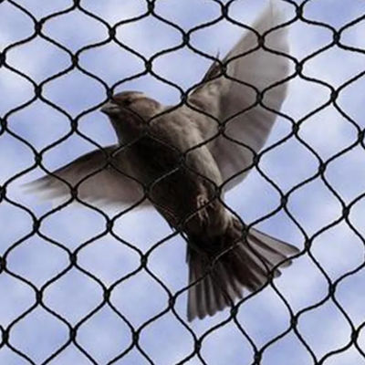 Non-Rusting 316 Stainless Steel Wire Rope Mesh Aviary Wire Netting For Zoo Enclosure Protection Bird Aviary