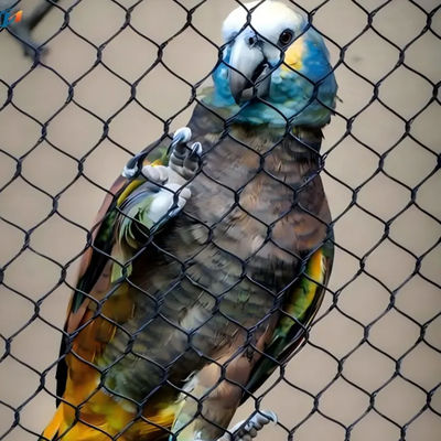 SS 304 316 Zoo Fencing Mesh Flexible Cable Wire Netting For Bird Aviary