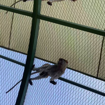 Stainless Steel Woven Wire Rope Mesh Net Bird Aviary Zoo Enclosure Slope Protection