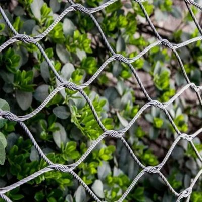 304 316L Stainless Steel Wire Rope Mesh Netting For Bird Aviary Zoo Animal Cage