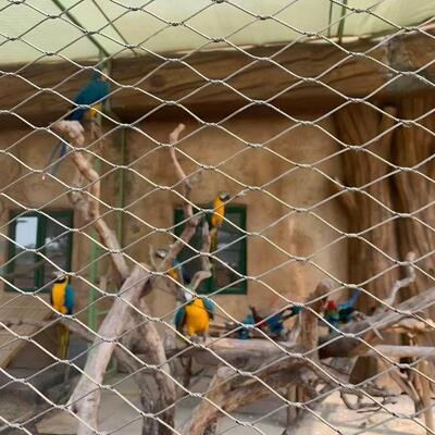 Stainless Steel Rope Mesh 30*30mm Opening Safety Net Fence Netting Anti-Fall Netting