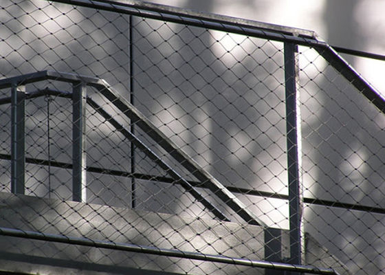 उच्च टिकाऊपन नेट टाइट स्टील रस्सी जाल 25 मिमी-300 मिमी एपर्चर आकार