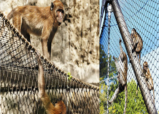 1.5 मिमी तार व्यास स्टेनलेस स्टील बर्ड नेटिंग टवील बुनाई कार्टन बॉक्स पैकेजिंग