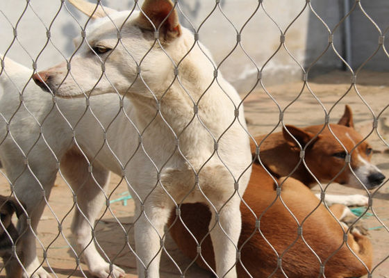 316 सामग्री पशु संलग्नक 7x19 स्टेनलेस स्टील वायर रस्सी चिड़ियाघर जाल