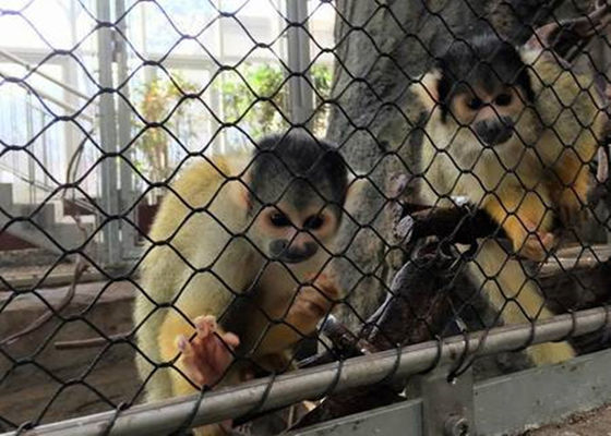 ब्लैक ऑक्साइड लचीला एसएस एवियरी रस्सी मेष नेटिंग हीरा बुना प्रकार