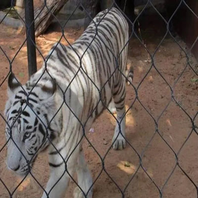 लचीला स्टेनलेस स्टील तार सुरक्षात्मक चिड़ियाघर तार जाल Ferruled या गाँठदार