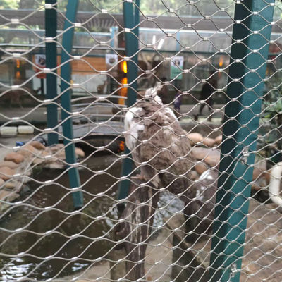 SS304 SS316 स्टेनलेस स्टील तार रस्सी जाल चिड़ियाघर सुरक्षा केबल जाल