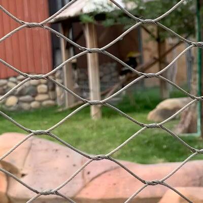 चिड़ियाघर के लिए लचीला स्टेनलेस स्टील रस्सी जाल एंटी-फॉल नेट