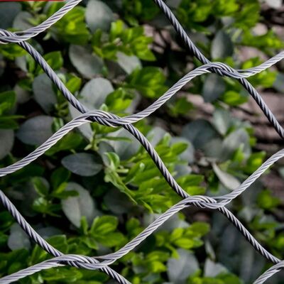 वास्तुशिल्प परियोजनाओं में सुरक्षा के लिए डिज़ाइन किया गया लचीला स्टेनलेस स्टील केबल जाल