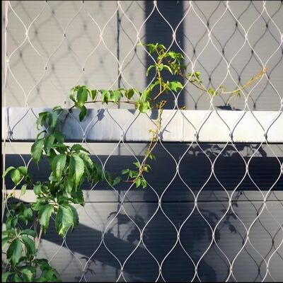 रेत के प्रकार का स्टेनलेस स्टील रस्सी जाल