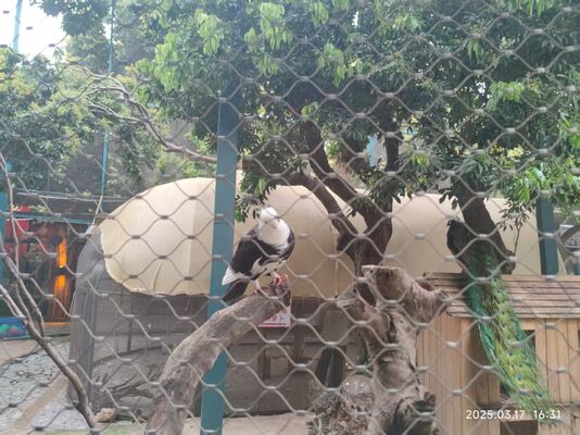316 स्टेनलेस स्टील केबल सुरक्षा जाल क्रेन फ्लडलाइट्स गिरने से रोकने वाली जाल