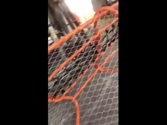 तार रस्सी जाल बाड़ लगाना