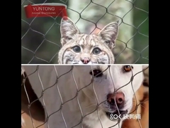 पशु के पिंजरे