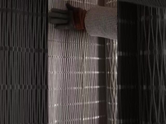 चिड़ियाघर के तार जाल 2