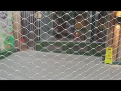 पक्षी वन जाल