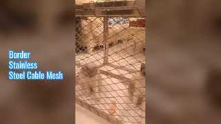 बॉर्डर स्टेनलेस स्टील केबल मेष