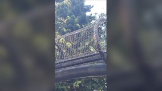 स्टेनलेस स्टील रस्सी नेट गार्डन बाड़ गिरने से सुरक्षा