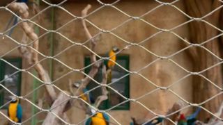 बुना हुआ स्टेनलेस स्टील वायर केबल जाल कैसा दिखता है?